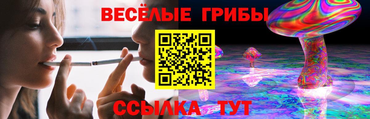 Галлюциногенные грибы Cubensis  Вход с VPN  Псилоцибиновые грибы мицелий  Мурино 